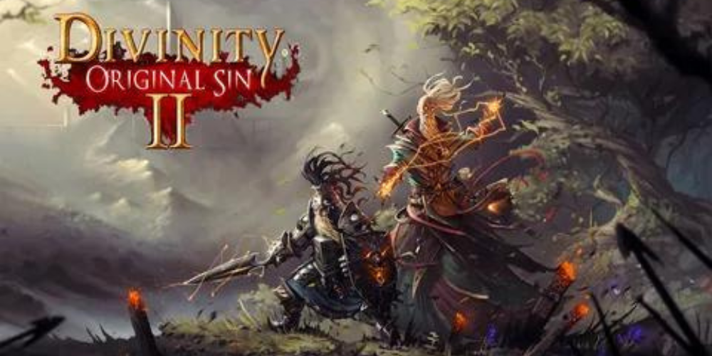 Divinity Original Sin 2 game